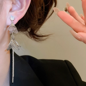 Vue détaillée de boucles d'oreilles en argent avec zircon et longue chaîne à pompons