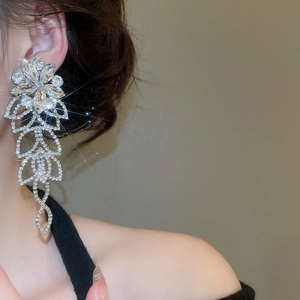 Vue détaillée de boucles d'oreilles argentées à franges et cristaux portées par un modèle
