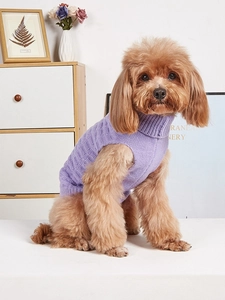 Close-up of a purple knitted pet sweater with high neck design on a small teddy dog