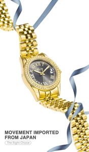 Detailed macro of gold steel watch featuring crystal bezel and grey sunray dial
