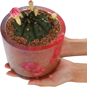 Roze hars bloempot met droogbloemen en succulent voor bureau decoratieve doeleinden