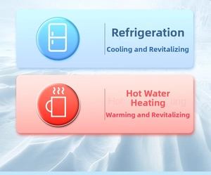 Instruction graphic for ice globe massager showing refrigeration and heating modes