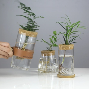Creative glass hydroponic vases with cork stoppers and leather handles for green plants