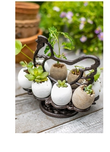 Support à œufs en fonte rustique utilisé comme jardinière créative pour succulentes