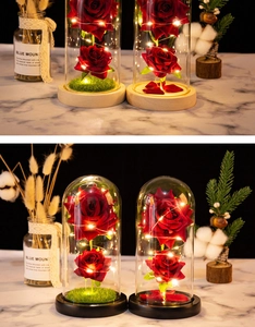 Detail of red preserved roses in glass dome with warm LED lights and dual base options