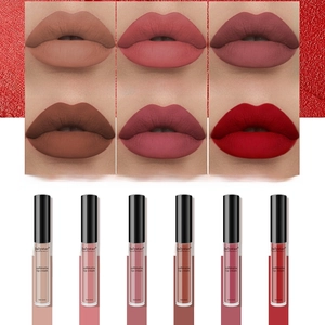 Set of six velvet matte lip glosses with long-lasting waterproof shades and swatches