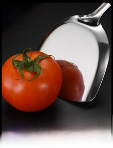 Macro detail of the polished stainless steel spatula reflecting a fresh red tomato