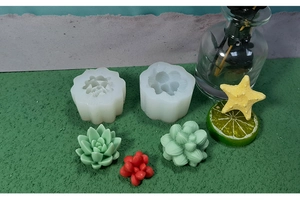 Détail macro des moules en silicone pour succulentes avec texture et plantes réalistes