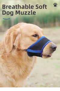 Detail of breathable mesh dog muzzle with blue trim on a Golden Retriever in a park
