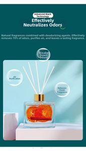 Detail of 100ml glass diffuser with dried orange slices, cinnamon sticks and fiber sticks