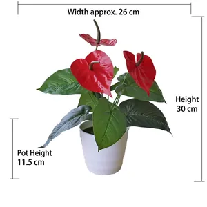 Detailed dimensions of artificial red anthurium plant in white pot showing 30cm height