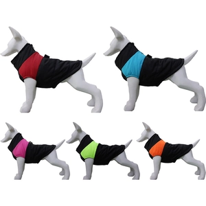 Waterproof dog winter jackets in five colors shown on white canine mannequins