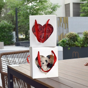 White heart-window gift box with red silk handles and plush panda inside