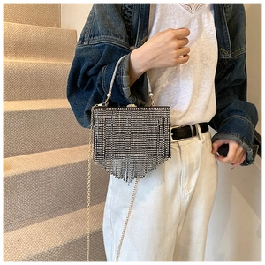 Silver rhinestone tassel evening bag shown with a metal chain on a model for scale