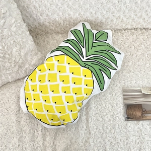Detailed view of pineapple plush cushion on soft white textured rug with magazine accessory
