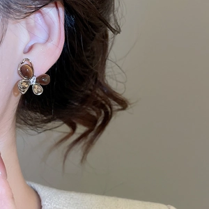 Gros plan de boucles d'oreilles papillon avec œil de tigre et zircon sur le modèle