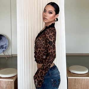 Detail of leopard print sheer mesh top with long sleeves and delicate lace trim
