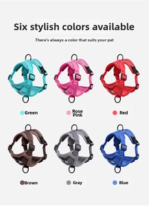 Detailed grid of breathable mesh cat harnesses in six vibrant reflective colors