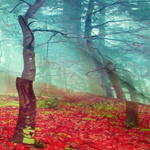 Dettaglio dell'arazzo con paesaggio forestale che mostra la stampa digitale su tessuto