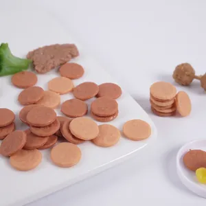 Miniature Simulation Meat Patty Plastic Food Play Tiny Chicken Beef Dollhouse Kitchen Pretend Play DIY Craft Props