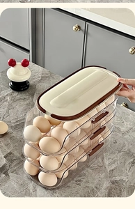 Detail of multi-layer egg box with lid design, hidden handle, and date tracking dial