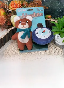 Detail view of plush dog squeaky toys set with brown bear and compass on adventure packaging