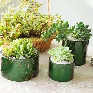 Donkergroene cilindrische vetplantenpot met gouden glitters en witte decoratieve stenen