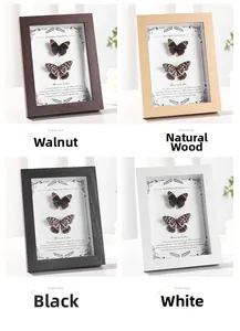 Detail view of 3D wooden frames in walnut, natural, black and white with butterfly specimens
