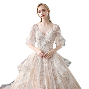 Elegant champagne V-neck wedding dress with lace floral embroidery and shimmering sequins