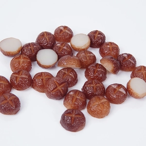 Miniature 1.3cm lifelike resin mushrooms with realistic brown caps and white texture