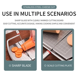 Detail of stainless steel cheese slicer with scale cutting carrots and ham precisely