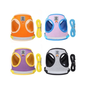 Breathable mesh pet harness and leash set for small dogs and cats in four vibrant colors