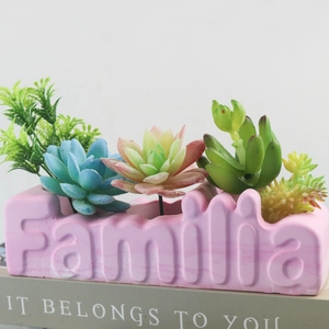 Detail of pink Familia planter with artificial succulents on decorative books