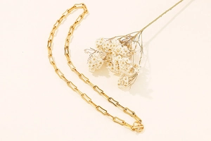 Close-up of golden paperclip link necklace with OT toggle clasp and dried flower decor