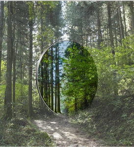 Visual contrast of UV400 polarized lenses showing enhanced clarity on a forest road