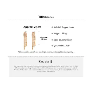 Détail des boucles d'oreilles à franges en zircon avec aiguilles en argent et matériaux
