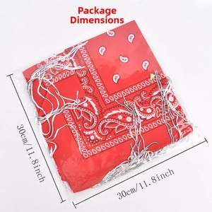 Folded red paisley sequin bandana with silver fringe in transparent 30cm packaging