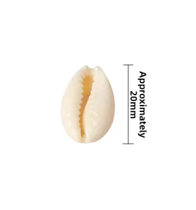 Dettaglio di perline a forma di conchiglia da 20mm per la creazione di gioielli fai-da-te