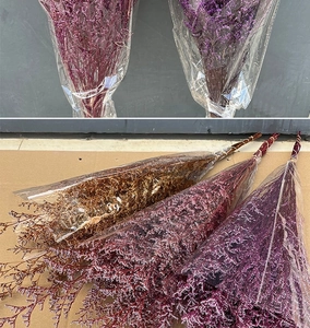 Detailed view of dried preserved Limonium flowers in red, purple, and gold gift packaging