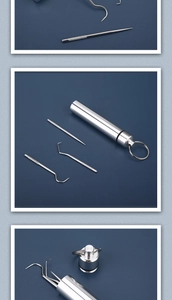 Macro detail of 304 stainless steel toothpicks and portable metal storage case