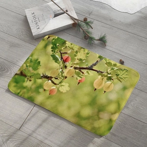 Detail of a rectangular fruit pattern flannel mat with berries on a wooden floor