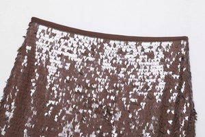 Vue macro d'une mini-jupe à paillettes avec taille marron et écailles argentées