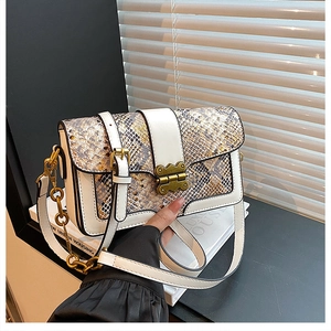 Detail of vintage snake print crossbody bag with gold hinge closure and chain strap