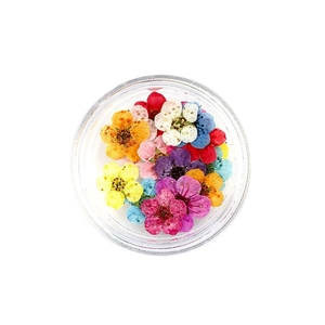 Jar of colorful natural dried flowers for Japanese nail art and DIY manicure decoration
