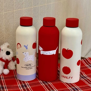Detail of matte stainless steel thermal bottles with cartoon dog and apple illustrations