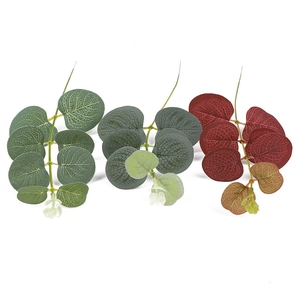 Gros plan détaillé de tiges d'eucalyptus en vert, bleu-vert et rouge-brun avec bourgeons