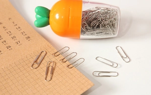 Macro detail of carrot shaped paper clip holder with metallic clips on office desk