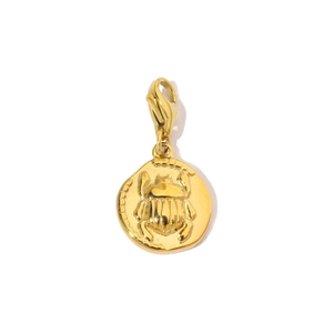 Macro shot of gold beetle coin pendant with lobster clasp and shiny metallic texture