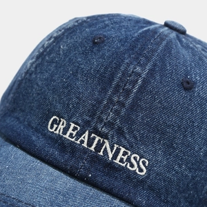 Detailed close-up of 3D GREATNESS embroidery on high-quality navy denim baseball cap