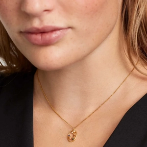 S925 Sterling Silver Zodiac Necklace with Colorful Crystals on a Model